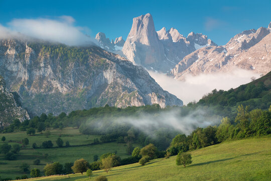 The Naranjo de Bulnes, known as Picu Urriellu, is a limestone peak, located in the Macizo Central region of the Picos de Europa, Asturias, Spain. Beautiful colors at sunrise in the national park.