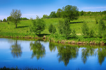 Fototapeta na wymiar Summer lake near the forest with trees, Ukraine