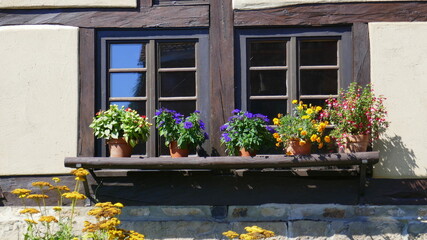 Fototapeta na wymiar Blumenschmuck an alten Sprossenfenster