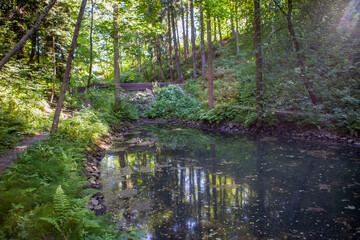 Obraz premium A picturesque round pond in the park of Villa Reno from the beginning of the 20th century. Ecological trail Komarovsky Bereg. Resort area. St. Petersburg. Russia