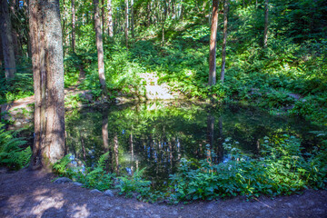 A picturesque round pond in the park of Villa Reno from the beginning of the 20th century. Ecological trail Komarovsky Bereg. Resort area. St. Petersburg. Russia