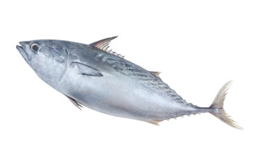 Raw tuna isolated on white background	