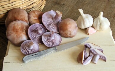 Bodegón de setas Clitocybe nuda, comúnmente conocido como la madera blewit y alternativamente descrito como Lepista nuda. Es un hongo comestible originario de Europa y América del Norte.