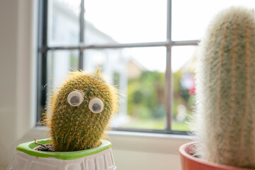 Small cactus seen with stick on novelty eyes located on a kitchen window.