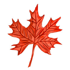 plasticine 3d illustration. Maple autumn leaf isolated on white background
