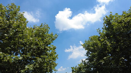 cloudy sky in summer