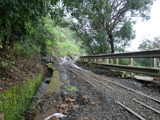 Obraz premium railway in the forest
