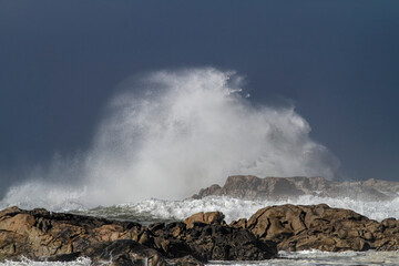 Sunny breaking sea waves