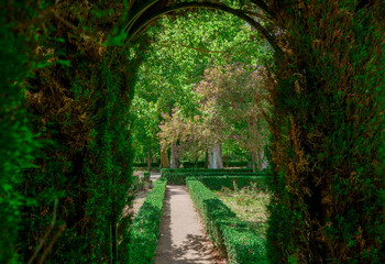 grass gate in the park of Aranjuez