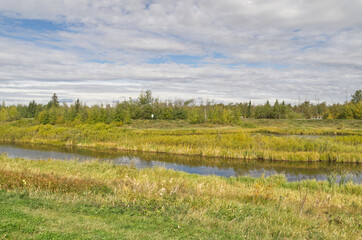 Pylypow Wetlands on a Cloudy Summer Day