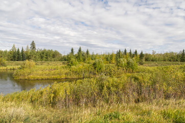 Pylypow Wetlands on a Cloudy Summer Day