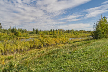 Fototapeta premium Pylypow Wetlands on a Cloudy Summer Day