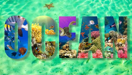 underwater paradise background coral reef wildlife nature collage with shark manta ray sea turtle colorful fish with wave in fron