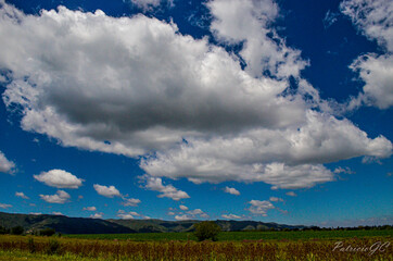 clouds over the field