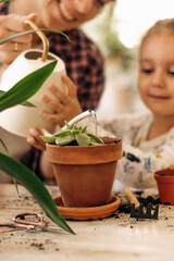 Young happy mixed race woman with her little daughter is planting and watering houseplants at home.Home gardening.Family leisure, hobby concept.Biophilia design and urban jungle concept.