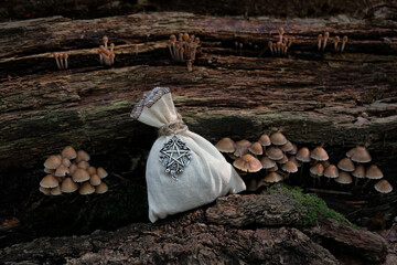 witch's bag with pentacle amulet and poison mushrooms on dark tree natural background. esoteric...