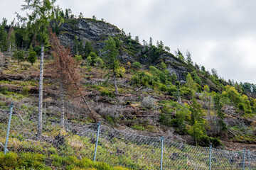 Fototapeta na wymiar Schutzzaun an einem Berghang mit durch Sturm und Borkenkäfer stark geschädigten Bergwald