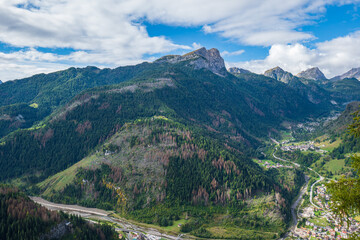 Waldschaden und Borkenkäferbefall nach Sturmschäden in den Dolomiten