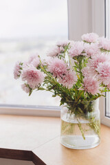 Beautiful autumn flowers in light on wooden windowsill. Pink asters flowers at big windows in modern room. Floral decoration for autumn holidays. Cozy home in fall season