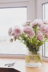 Beautiful autumn flowers and scissors in light on wooden windowsill. Pink asters flowers at big windows in modern room. Floral decoration for fall holidays in countryside home. Cozy autumn