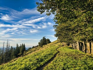 Hiking trail to the Schnebelhorn in the zurich oberland near fischenthal. Evening mood on a swiss hill. clouds blue sky