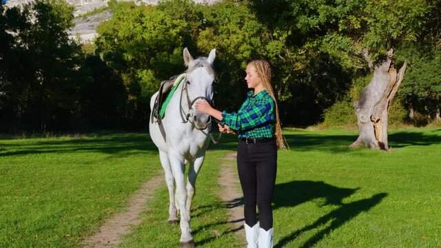 Sportive girl with sisterlock hairstyle leads white horse by reins along forest path. Horsewoman, jockette walking with palfrey in meadow surrounded by trees, mountain