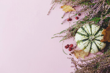 Thanksgiving flat lay. Stylish striped pumpkin, autumn leaves and heather on pink background....