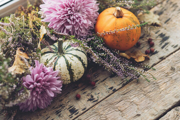 Autumn in countryside. Stylish pumpkins, autumn leaves, purple dahlias flowers, heather on rustic...