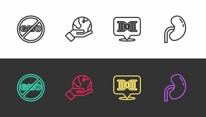 Set line No GMO, Hand holding Earth globe, DNA symbol and Human kidney on black and white. Vector