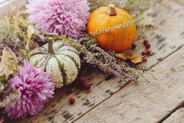 Happy Thanksgiving. Stylish pumpkins, autumn leaves, purple dahlias flowers, heather on rustic old wooden background. Fall harvest rural composition, space for text. Hello autumn. Halloween