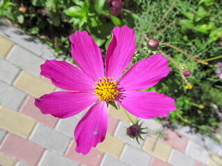 Fototapete bei efototapeten.de bestellen   