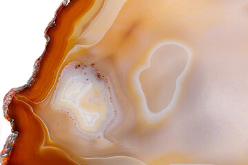 Macro mineral stone Yellow, brown Agate breed a white background close up