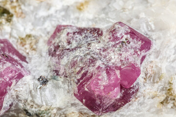 Macro mineral stone Ruby in rock on white background