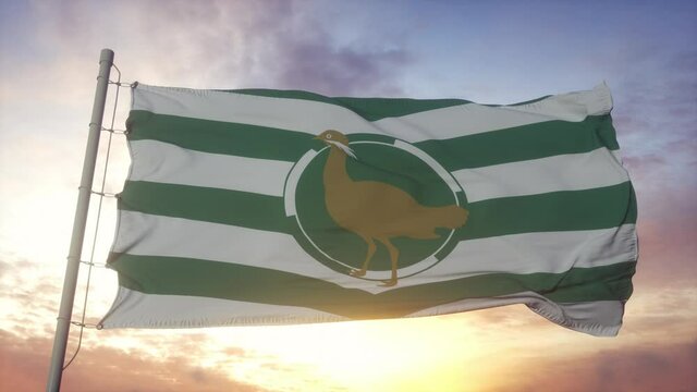 Wiltshire flag, England, waving in the wind, sky and sun background