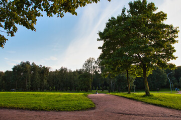 path in the park