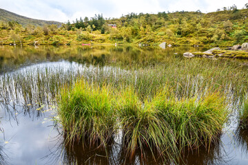 .Beautiful autumn landscape, Norway. Lake near Mount Ulriken 