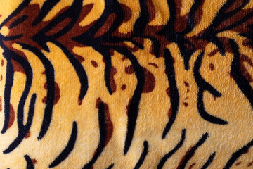 tiger print texture close up, top view, animal pattern