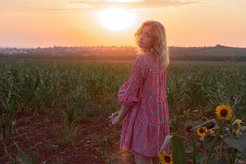 A girl stands in a corn field at sunset