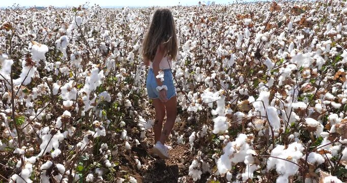 Teenage girl with brown hair and short jeans walking in a Cotton field.
