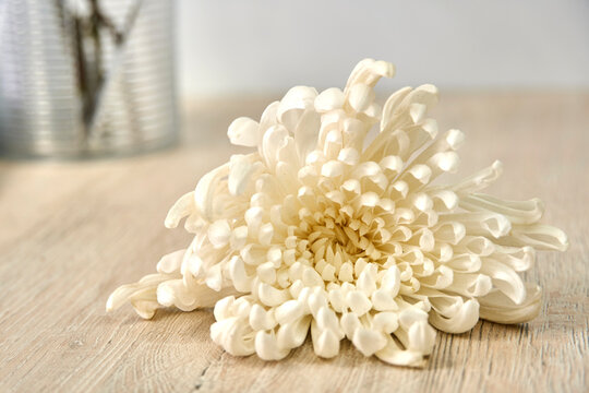 Flores de Colombia
