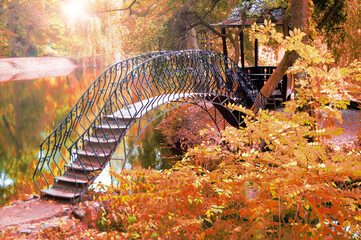 Golden autumn. Bridge in the park. Golden foliage.