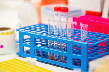 Glass tubes standing in blue stand in chemical laboratory. Transparent ampoules on table in pharmacy workplace. Empty flask in biotechnology research.