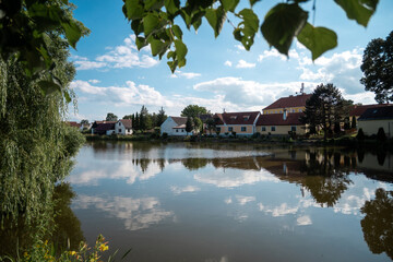 Fototapeta premium Old pond in Stříbřec, South Bohemia