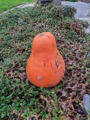 pot on the ground