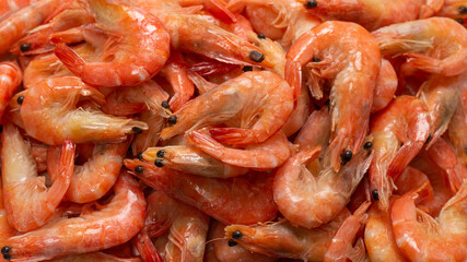 Shrimps background texture. A lot of shrimps. Cooked shrimps.