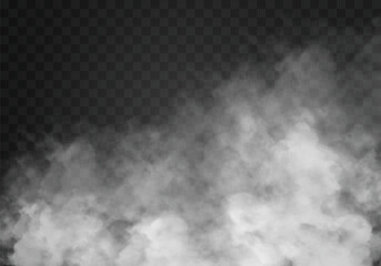 Fog or smoke isolated transparent special effect. White vector cloudiness, mist or smog background. Vector illustration - obrazy, fototapety, plakaty