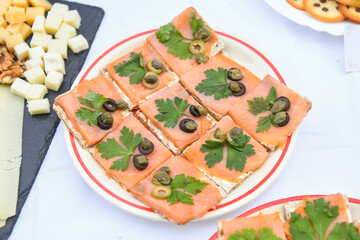 Canapes with salmon and olives on a plate