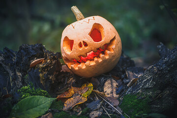 Jack O Lantern, with an evil face. Carved pumpkin for Halloween on fallen tree in night woods....