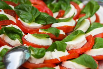 Basil, Mozzarella, Tomato Caprese Salad With Olive Oil.
