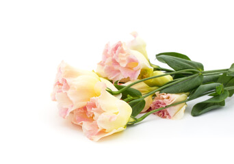 Bouquet of white and blue eustoma.